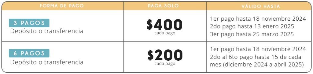 Certificación Chi Kung Shiatsu formas pago