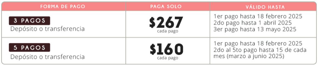 Certificación en Reflexología mención MTC Formas de Pago