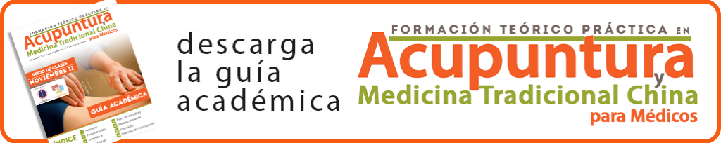 Formación en Acupuntura para Médicos guia academica