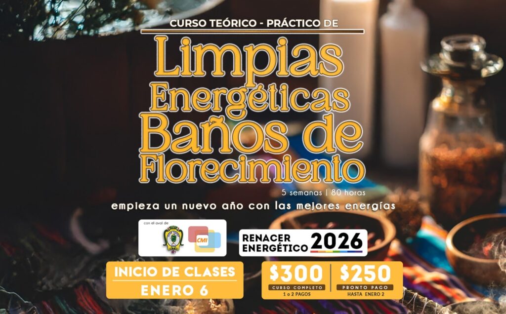 Curso Limpias Energéticas Redes