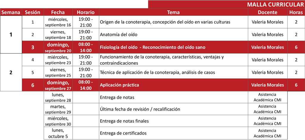 Curso Conoterapia CMI 3ra edición malla académica web